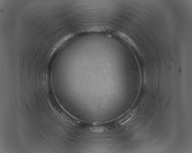 X0000077330444200611031734