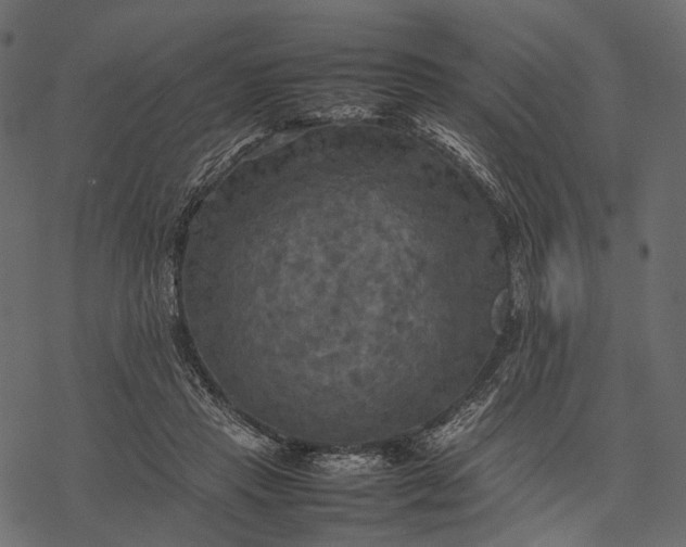 X0000077330453200611031735