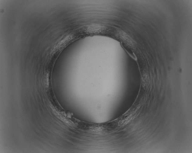 X0000077330454200611031735