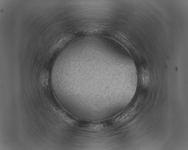 X0000077330458200611031735