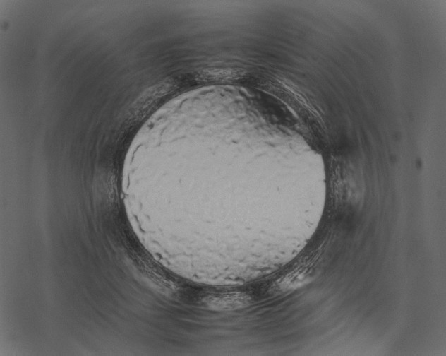 X0000077330459200611031735