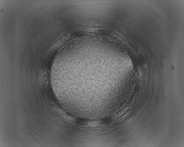 X0000077330462200611031735