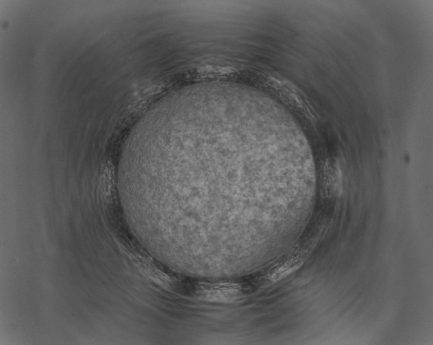 X0000077330463200611031735
