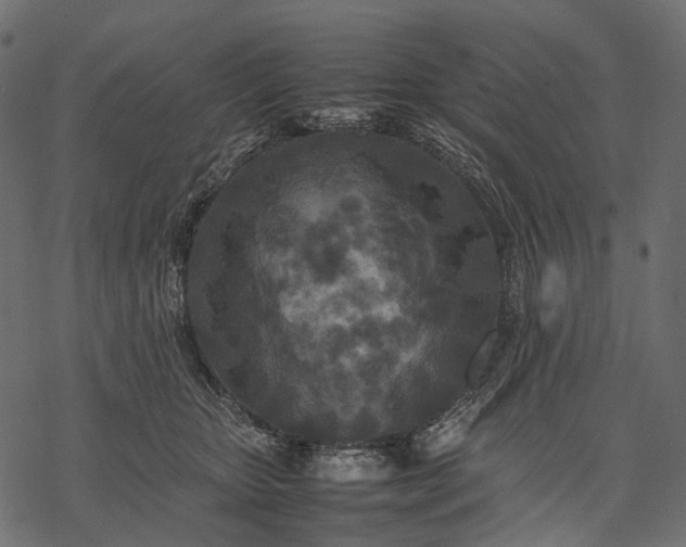 X0000077330467200611031735