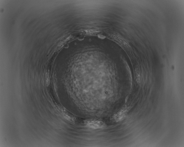 X0000077330471200611031735