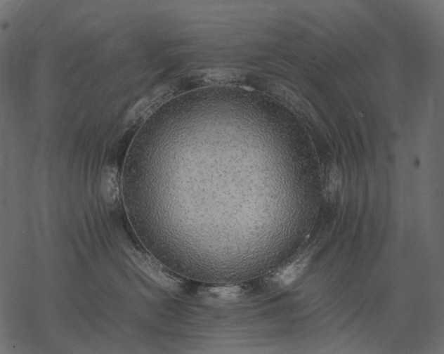 X0000077330478200611031735