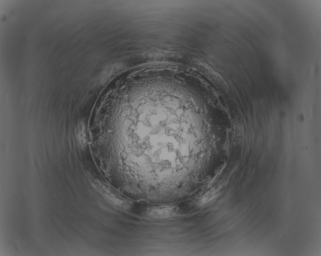 X0000077330479200611031735