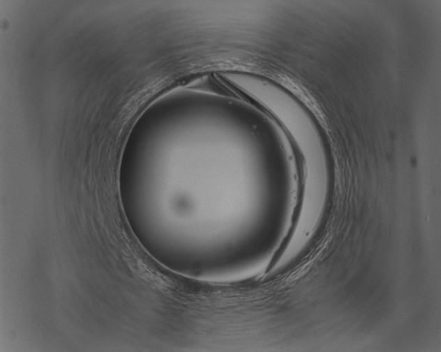 X0000077330481200611031734