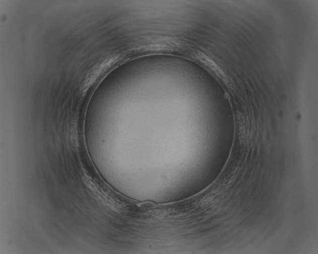 X0000077330482200611031734