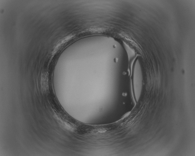 X0000077330492200611031734