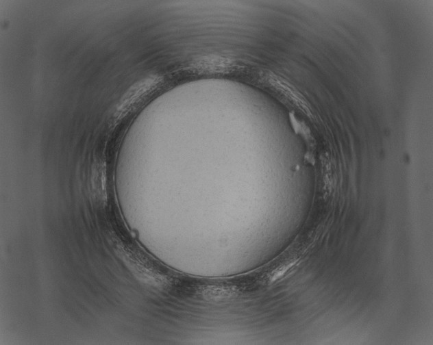 X0000077330494200611031734