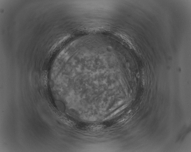 X0000077330495200611031734