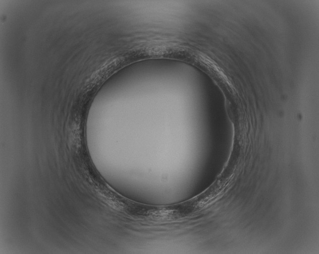 X0000077330497200611031734