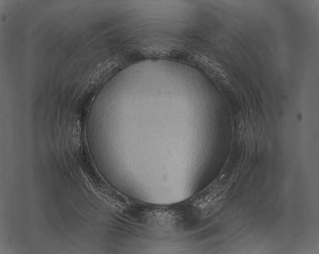 X0000077330498200611031734
