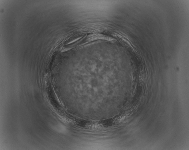X0000077330503200611031734