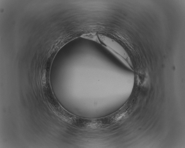 X0000077330504200611031734