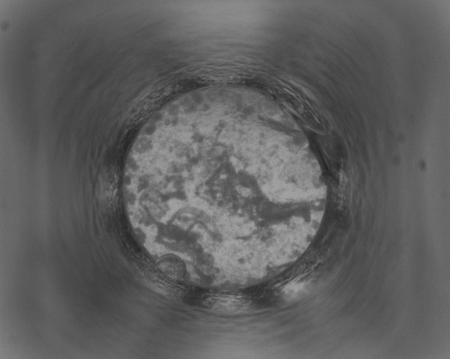 X0000077330507200611031734