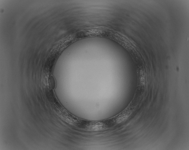 X0000077330514200611031734