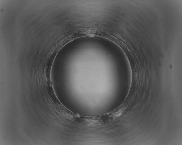 X0000077330516200611031734