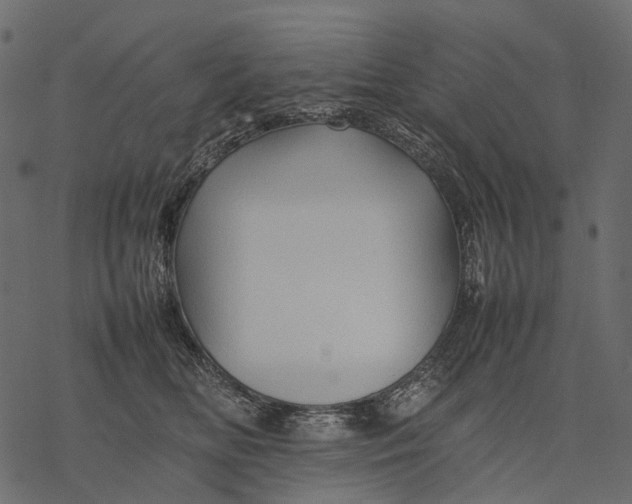 X0000077330518200611031734