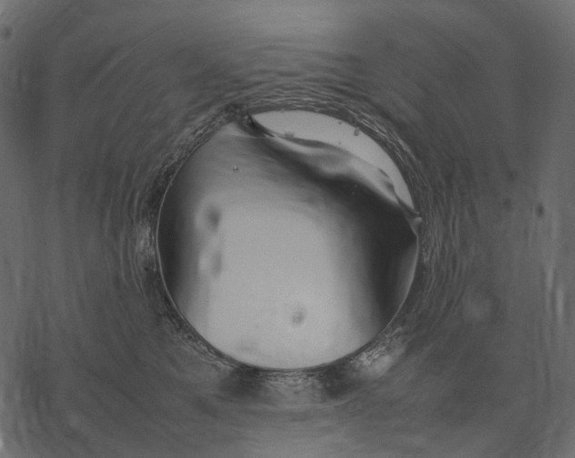 X0000077330521200611031734