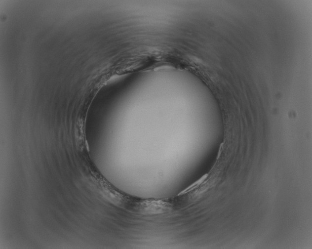 X0000077330528200611031733