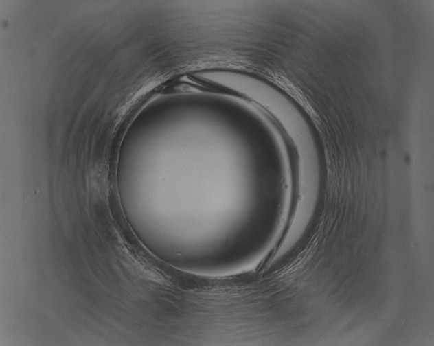 X0000077330530200611031733