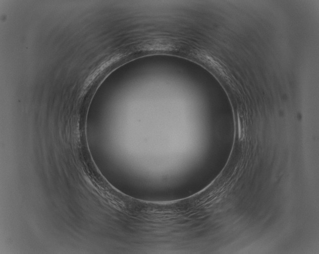 X0000077330531200611031733
