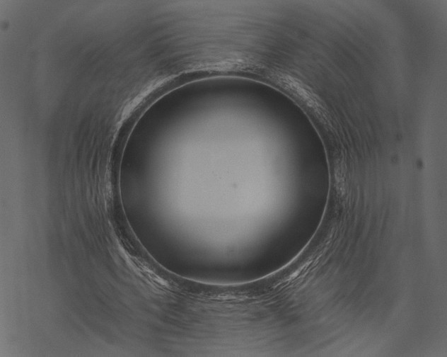 X0000077330532200611031733