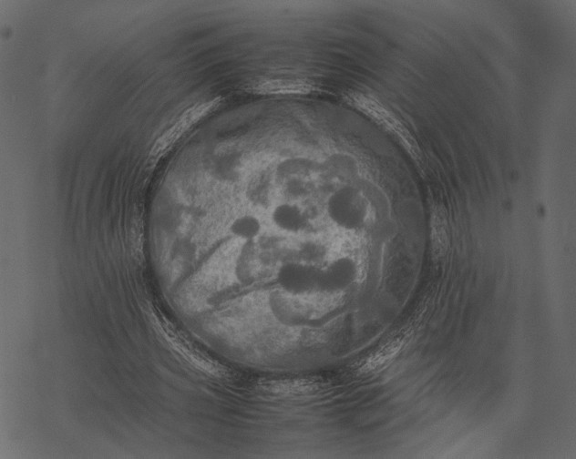 X0000077330533200611031733