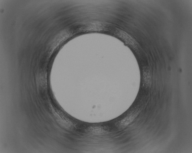 X0000077330534200611031733