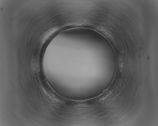 X0000077330536200611031733