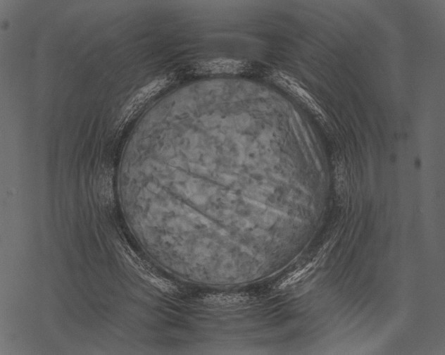 X0000077330537200611031733