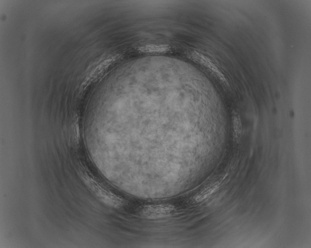 X0000077330541200611031733