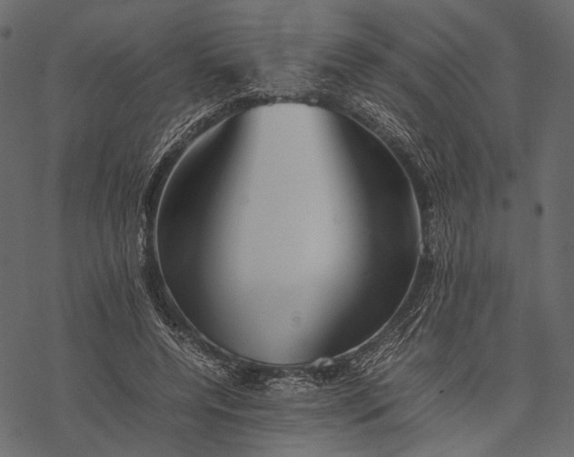 X0000077330544200611031733