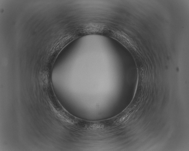 X0000077330546200611031733