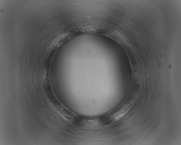 X0000077330548200611031733