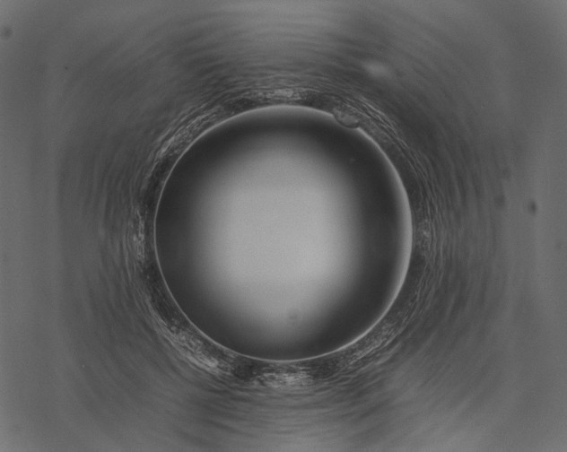 X0000077330552200611031733