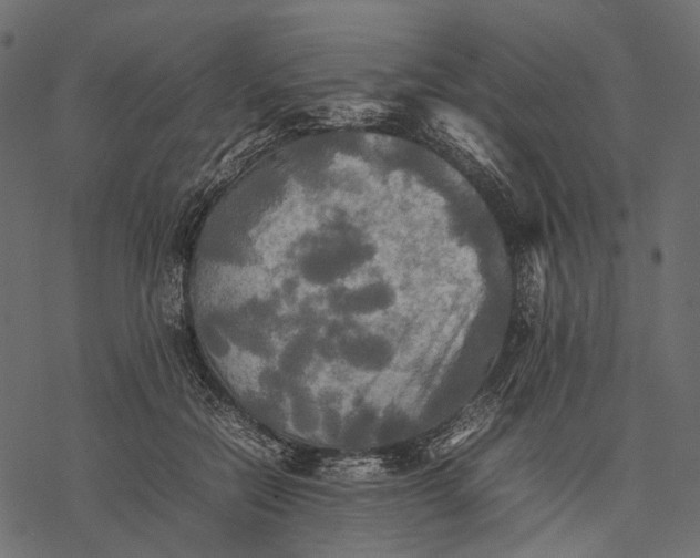 X0000077330554200611031733