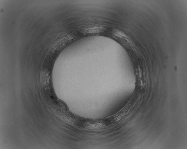 X0000077330555200611031733
