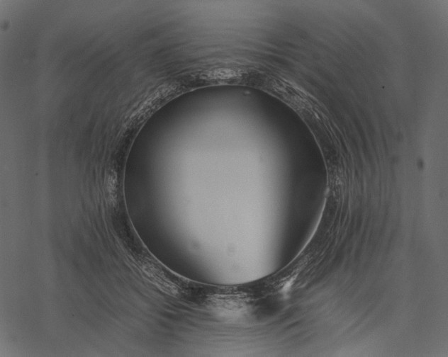 X0000077330556200611031733
