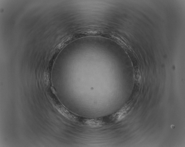 X0000077330568200611031733
