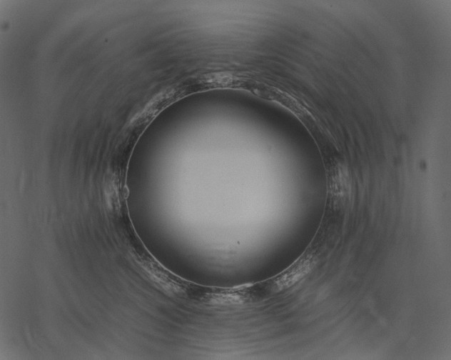 X0000077330572200611031733