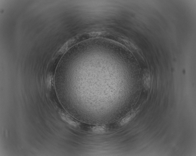 X0000077330574200611031733