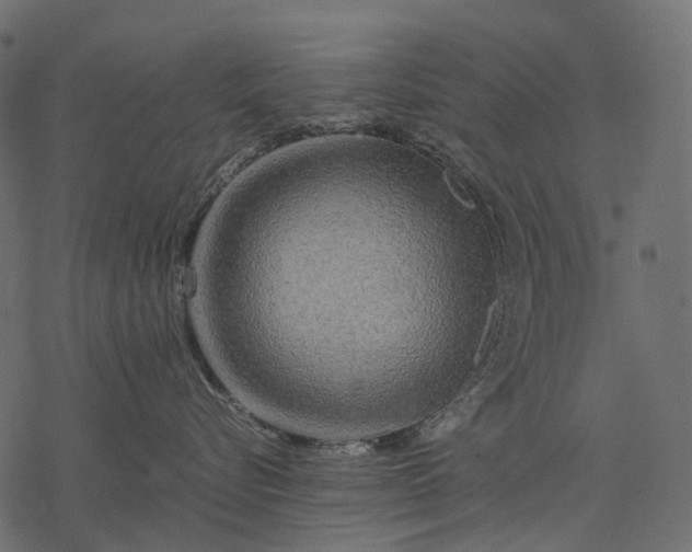 X0000077330576200611031733
