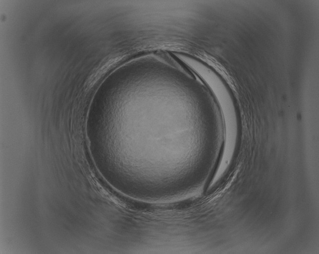 X0000077330577200611031733