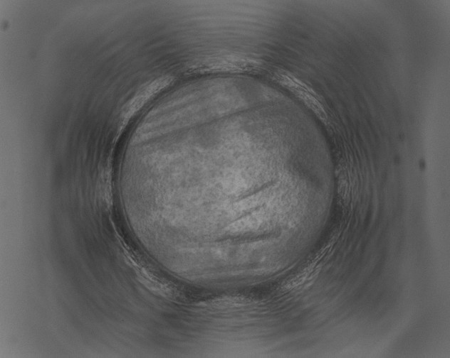 X0000077330578200611031733