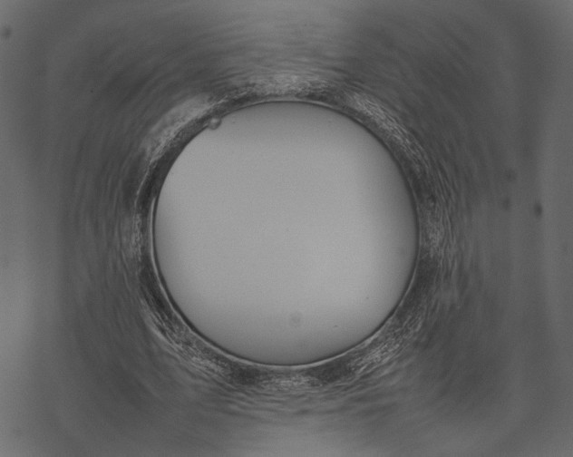 X0000077330583200611031733