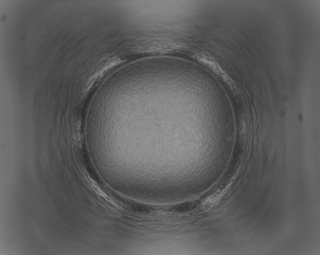 X0000077330585200611031733