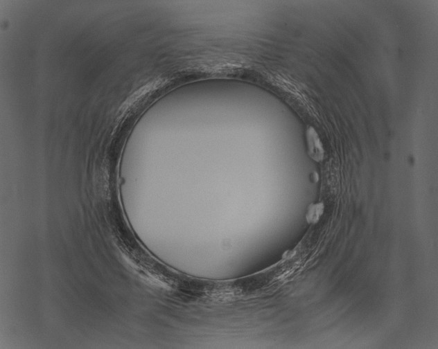 X0000077330587200611031733
